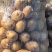 三两一下无病淀粉暑三毛上车不讲价