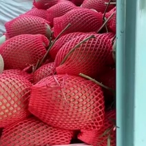 哈密瓜，鲁厚甜，牛三