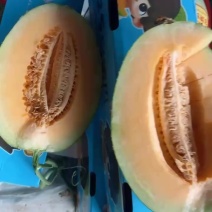 哈密瓜