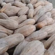 大量现货