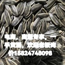 电商货，打手瓜子，五香瓜子，原味瓜子，焦糖瓜子
