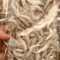 专业小河虾