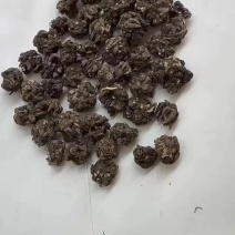 精品猫爪草