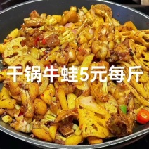 干锅牛蛙，香辣牛蛙，麻辣牛蛙，牛蛙预制菜，13香牛蛙，蒜