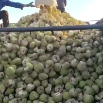 发往全国每个工厂大量有货