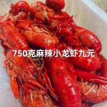 麻辣小龙虾九元13香小龙虾九元蒜香小龙虾九元香辣小龙虾九