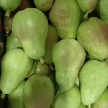 香蕉梨