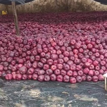 花牛量大