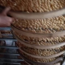 桂圆肉