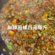 麻辣田螺香辣田螺四元每斤罗针神针田螺湖北潜江小龙虾