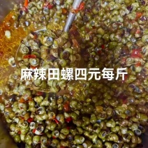 吃过直接复购十斤！什么麻辣田螺这么好吃又鲜又辣又过瘾