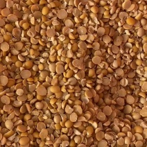碎黄豆瓣