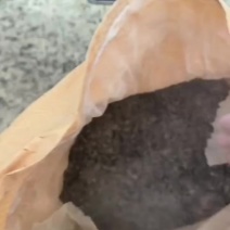 鹌鹑粪