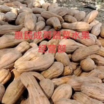 惠民成哥蔬菜水果经营部