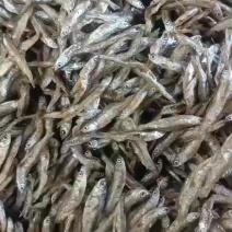 油炸小河鱼