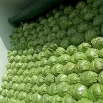 甘蓝，精品甘蓝大量上市，货源充足，品质保证，产地直发