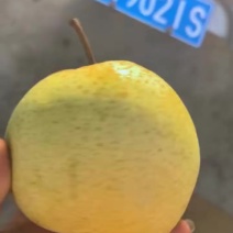 原装袋雪花梨
