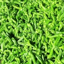 薄皮5号椒大量上市