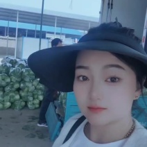 河南焦作博爱中甘甘蓝单颗2斤左右一手货源大量供应批发