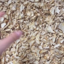 杏鲍菇根片