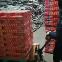 常年批发新鲜舟山野生带鱼，大量有货