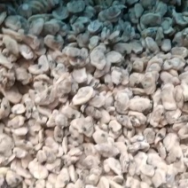 海瓜子肉