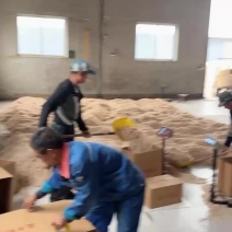 虾皮加工中
