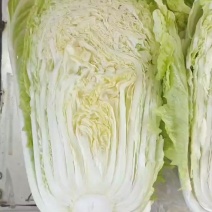 黄心白菜
