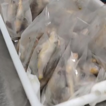 黄花鱼