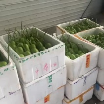 精品小短户