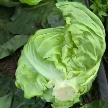 需要老板联系吧