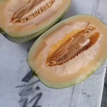 本地哈密瓜现摘