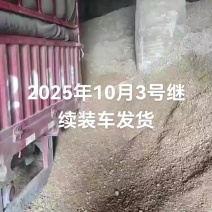 大量出售杏鲍菇废料