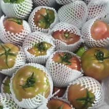 普罗旺斯大粉西红柿商超市场批发零售