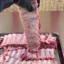 多肉精品寸排厂家直销量大从优