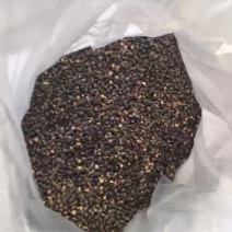 薏仁壳出售可做出口质量保证