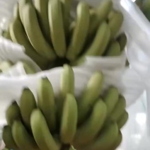 香蕉，广西，云南，海南，广东，产地全年有货