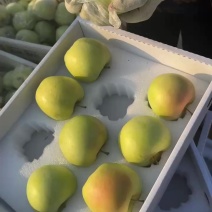 青森水蜜桃苹果大量上市每天收购两万斤精品果诚信合作
