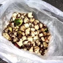 野生的***的，鲜货