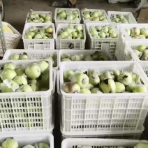 金秋红蜜，明月苹果，瑞香红苹果