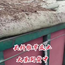 东北草炭土