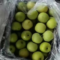 青皮梨