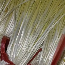 大掉钱，产地直发