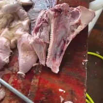 猪头猪头皮