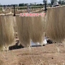 批发粉条粉皮