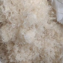 小龙须精品拉丝雪燕供应大货电商