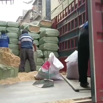压缩稻壳到达广东卸货中