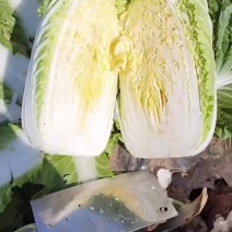 玲珑黄白菜