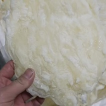 片胶，鱼胶，鲍汁扣片胶，金汤片胶，鸡锅鱼胶，捞汁鱼胶