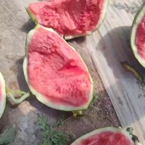 麒麟西瓜
